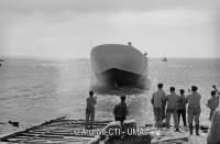 11050726_769602049796210_8461736791787258468_n (1)