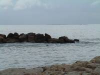 Foto Barrio Pedregalejo (174)