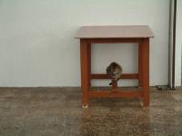 Foto Barrio Pedregalejo (185)