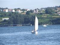 junio paloma 2007 400