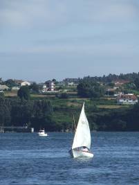 junio paloma 2007 401